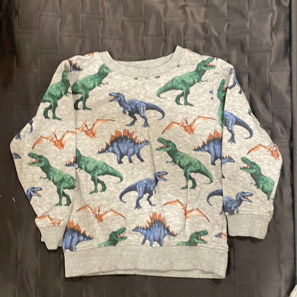 H&M dinosaur sweatshirt